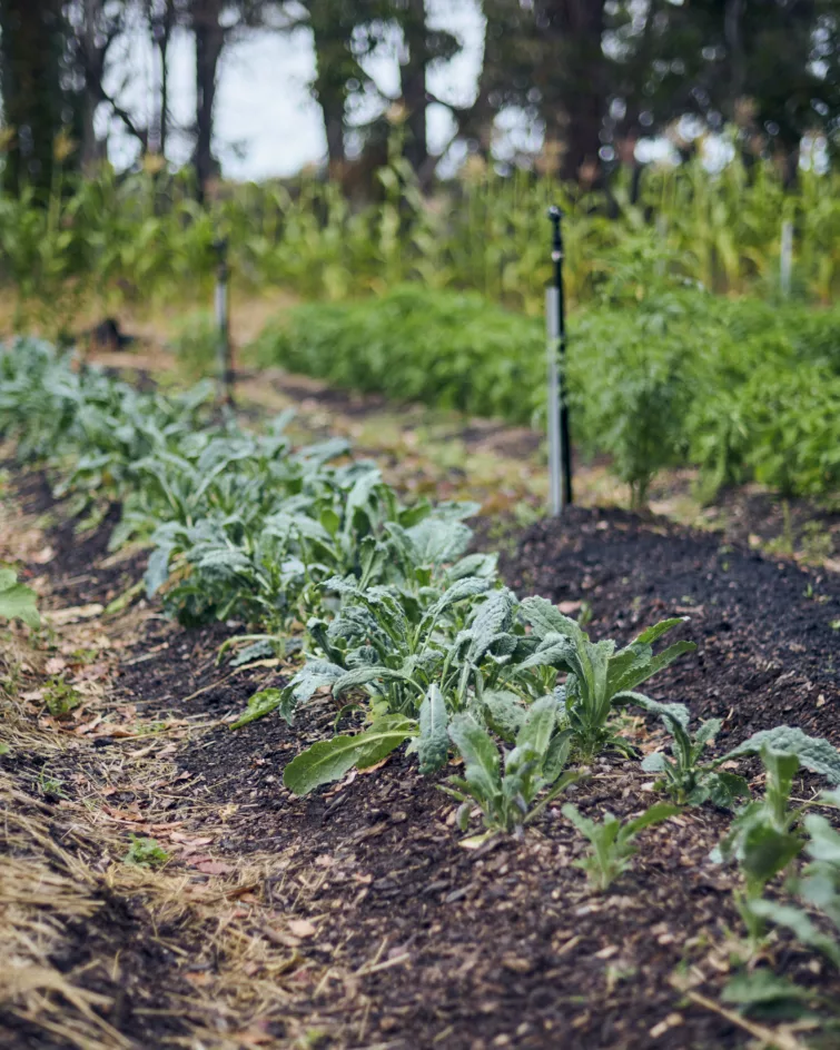 Wayfinder 2023 Elliot Ramsay xlightco 0584